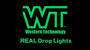 WT